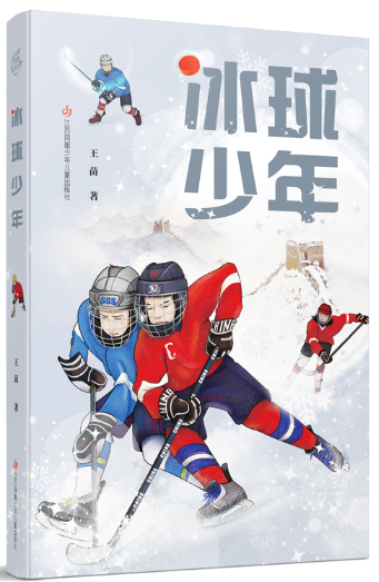 冰球少年