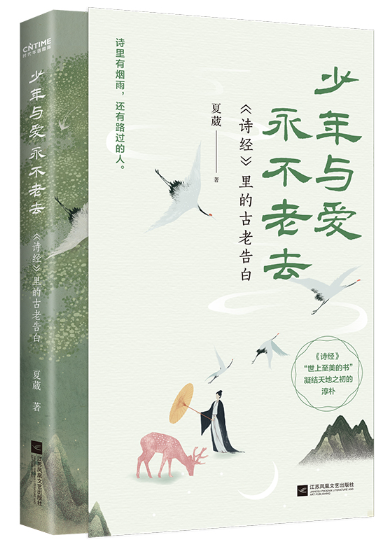 少年与爱